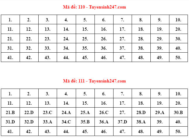Đáp án gợi ý đề Toán thi tốt nghiệp THPT năm 2022