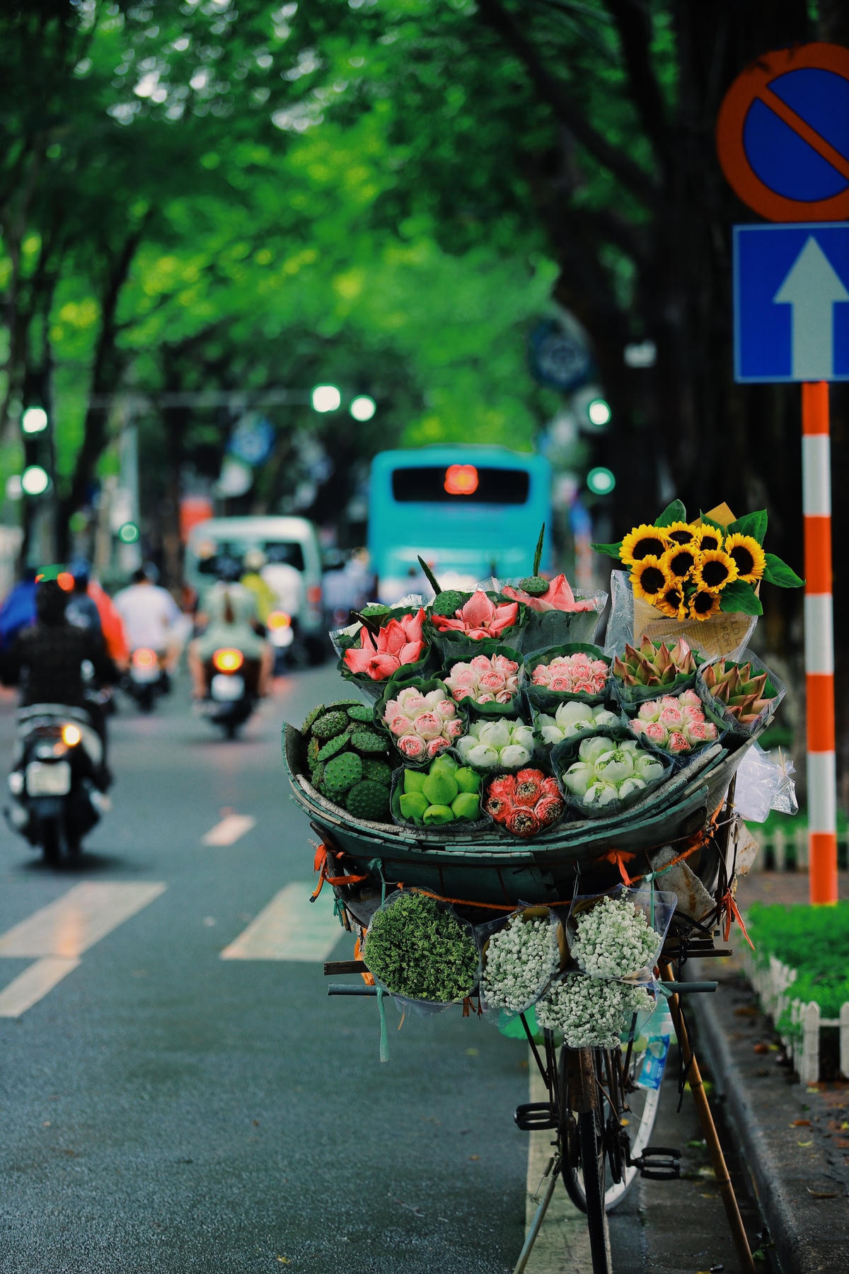 Bên cạnh loài hoa sen - đặc trưng Hà Nội, những loài cúc họa mi, hướng dương..., với muôn màu tươi thắm cũng rất phố biến trên đường phố Hà Thành. Ảnh: Hoàng Đỗ.  
