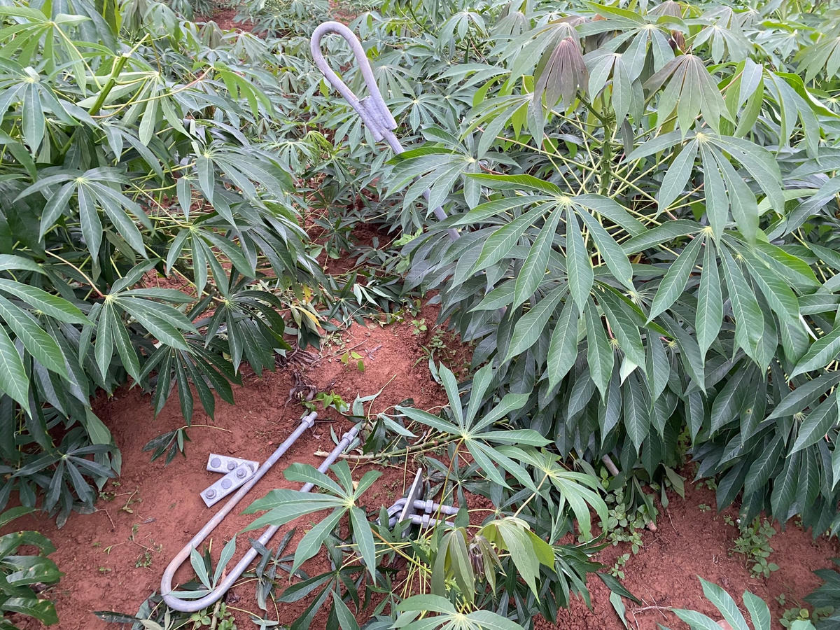 Hiện trường vụ việc cho thấy có hiện tượng tháo dây néo chịu lực làm đổ cột điện.