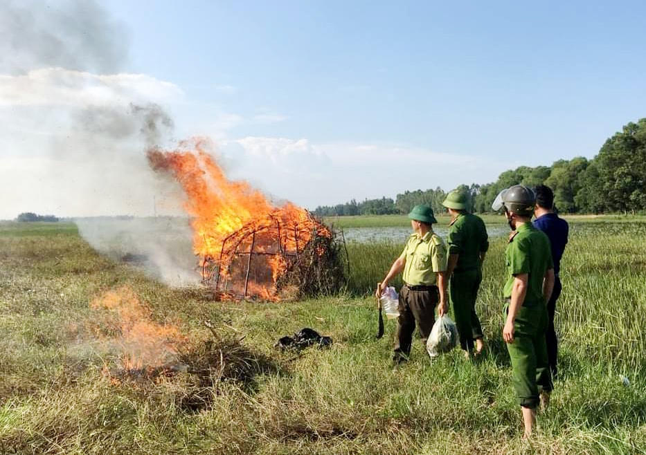 Cũng trong tháng 9, các lực lượng chức năng đã ra quân tịch thu 21.500 que bẫy bằng keo; 1.180m lưới bẫy chim; 2 bộ máy phát tín hiệu dụ chim; tháo dỡ 37 lán ẩn nấp.