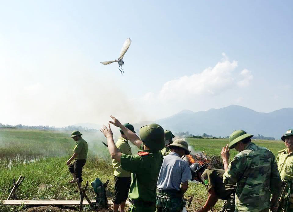 Hà Tĩnh: Tiêu huỷ hàng chục nghìn dụng cụ bẫy chim trời