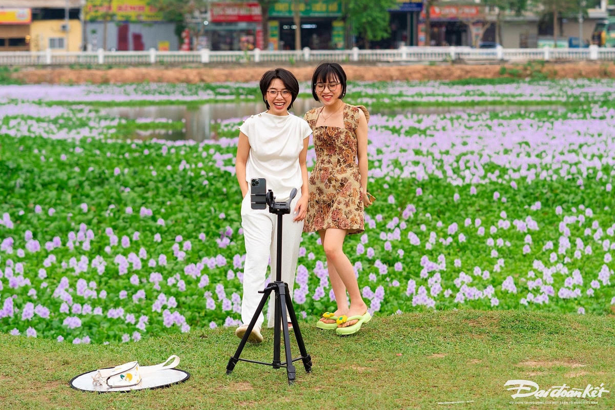 hoa_beo_tay-le-khanh11.jpg