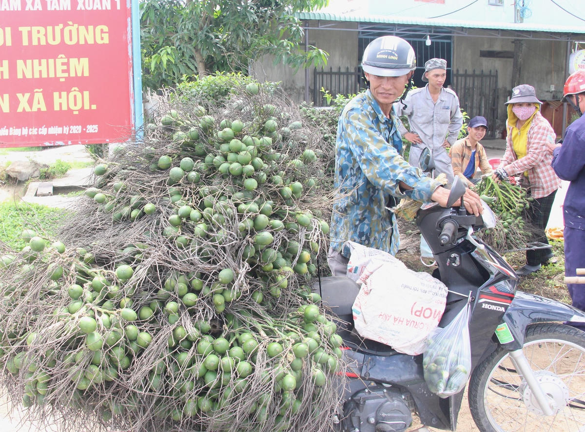 Cau mất giá nên các thương lái cũng thu mua cầm chừng.