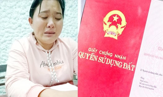 Đối tượng Trần Thị Bích Việt.