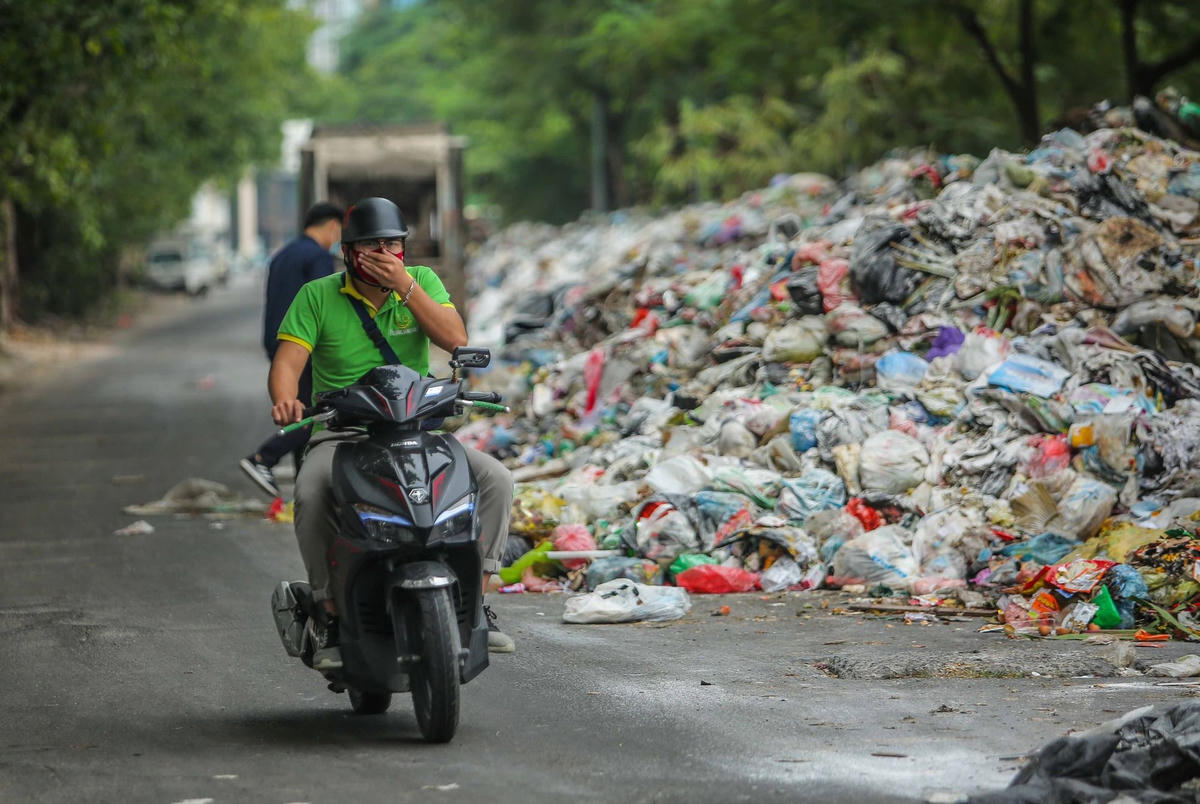 Cần xử phạt nghiêm các trường hợp vi phạm để bảo vệ môi trường.