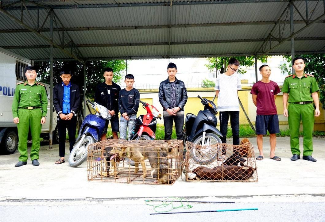 Các đối tượng liên quan đến hành vi trộm cắp, tiêu thụ chó bị bắt giữ.