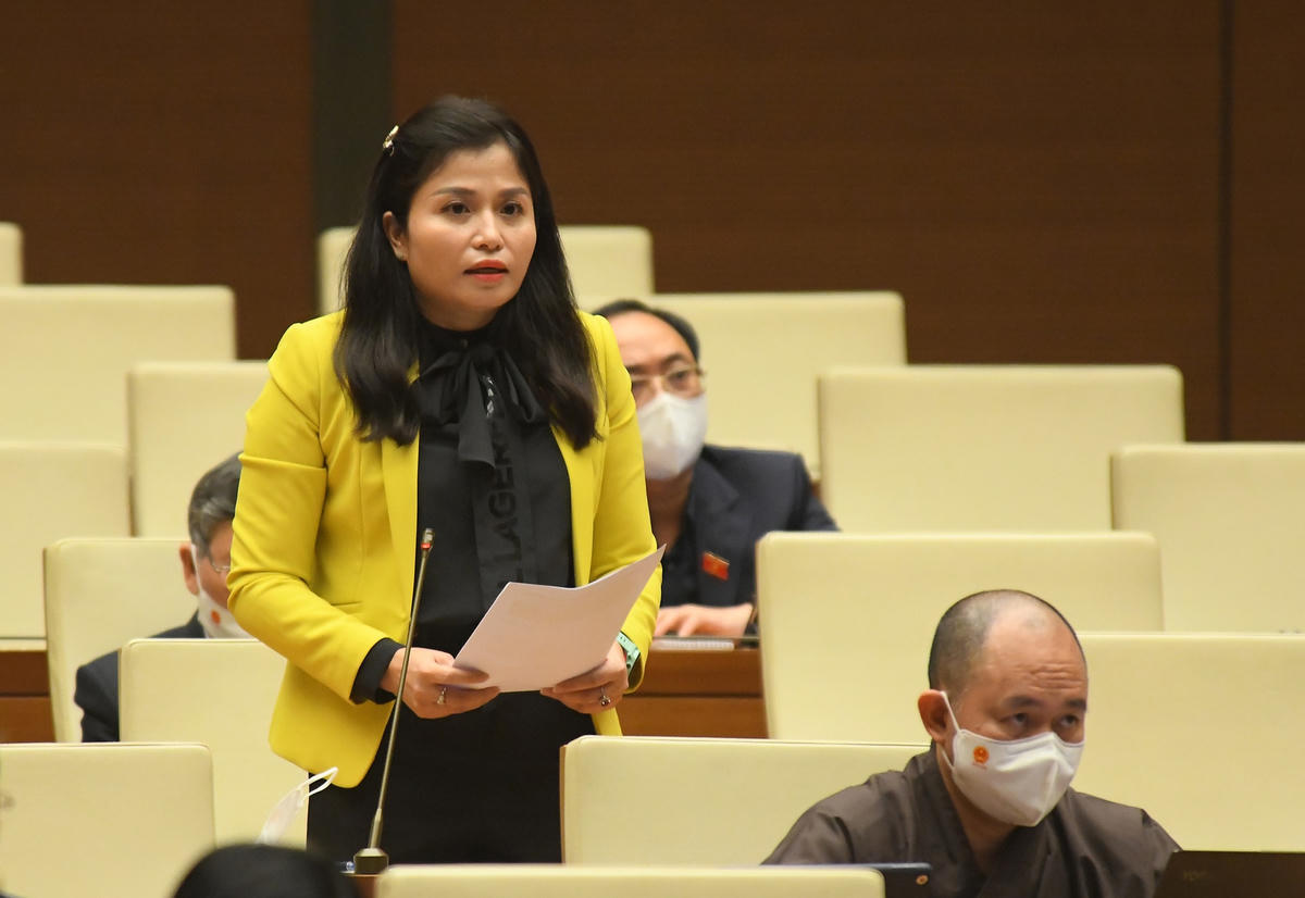 Đại biểu Quốc hội Thái Quỳnh Mai Dung.