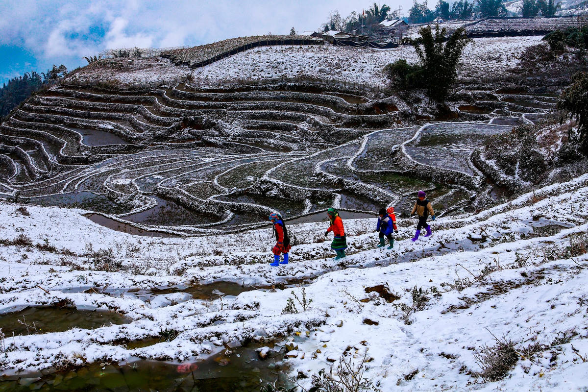 ngai-thau-thuong-1.jpg
