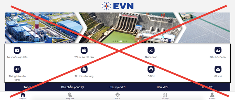 Trang web giả mạo thương hiệu, nhãn hiệu EVN.
