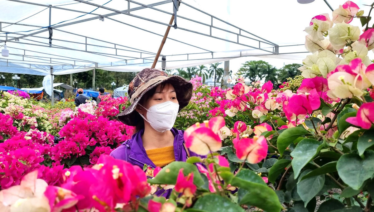 Tiểu thương bán hoa Tết ở Quảng Ngãi lo lắng.