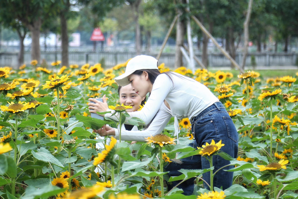 [ẢNH] Người dân nườm nượp đổ về Festival hoa lớn nhất Thủ đô 