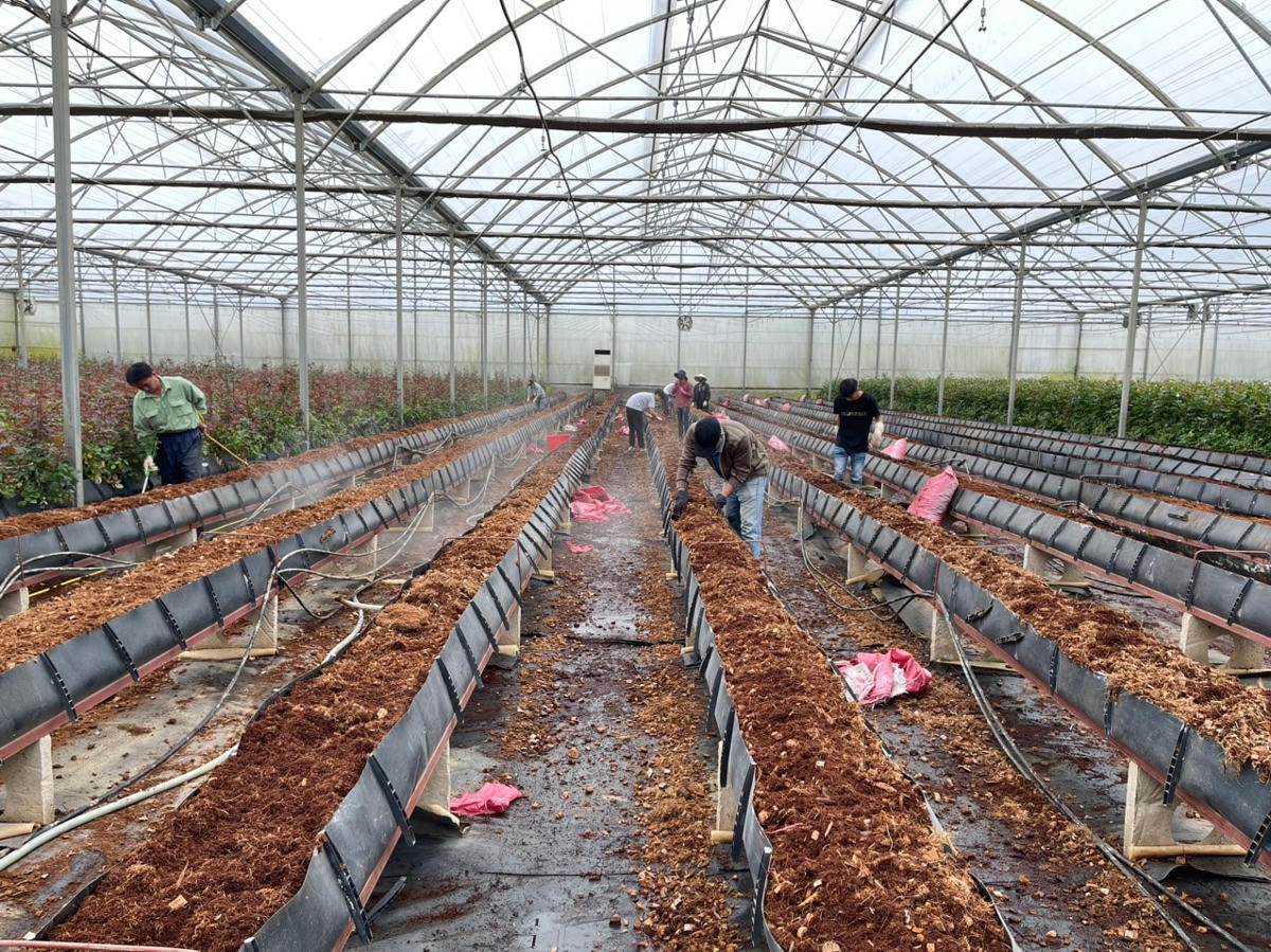 Ngày càng có nhiều địa phương áp dụng công nghệ tiên tiến để phát triển kinh tế nông nghiệp.