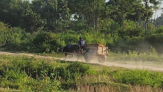  Bờ sông Chu bị 'băm nát' vì tình trạng khai thác cát trái phép