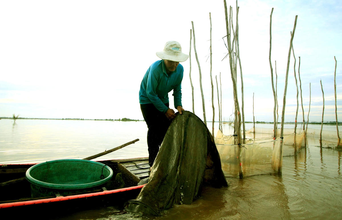 Lũ không về, người dân mất vụ cá.