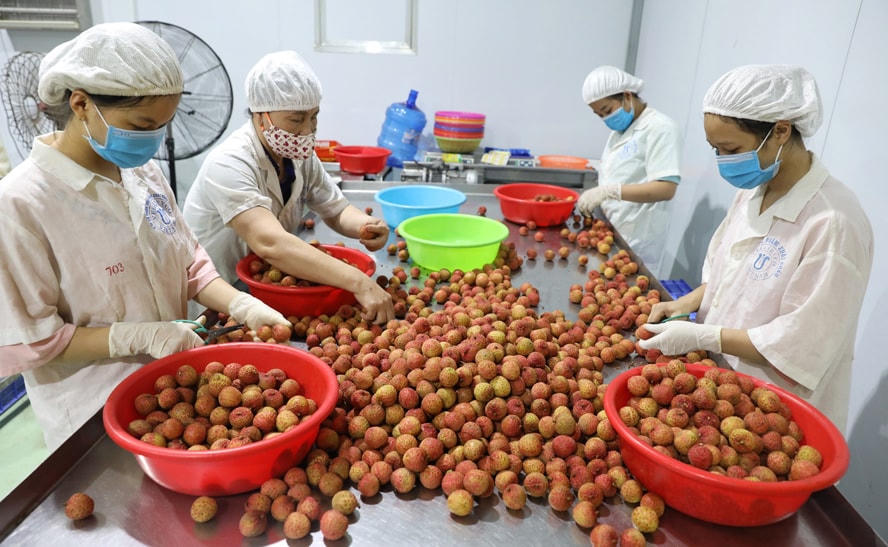 Trái cây tươi Việt Nam được thị trường Thái Lan ưa chuộng.