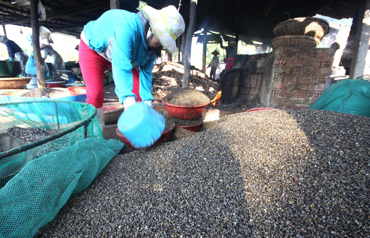 Nhân công đưa hết vào lò nấu chín.