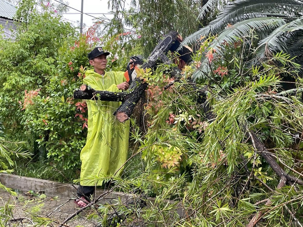 Lực lượng chức năng thu dọn cây cối ngã đổ trên đường. (Ảnh: Trần Tĩnh/TTXVN).