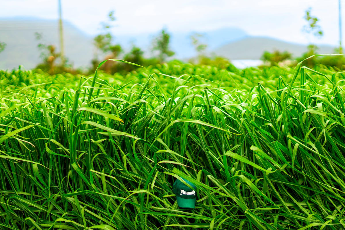 Farm tour VBCSD - 07a