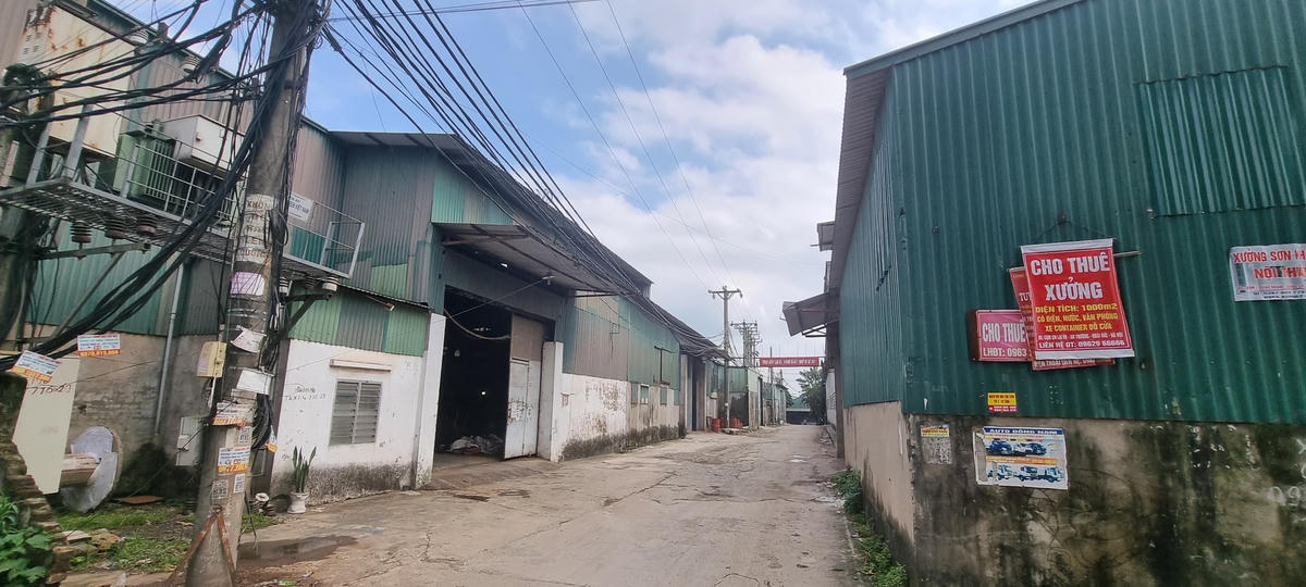Lối vào "cụm công nghiệp" Lại Dụ.
