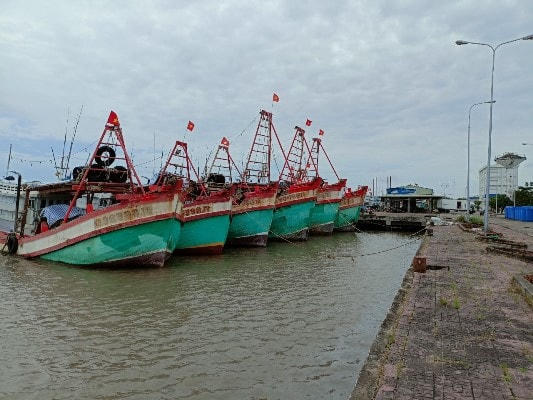 Cà Mau đẩy mạnh công tác chống khai thác IUU.