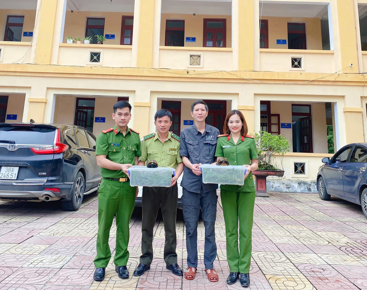 Người dân giao nộp cá thể rùa quý hiếm.