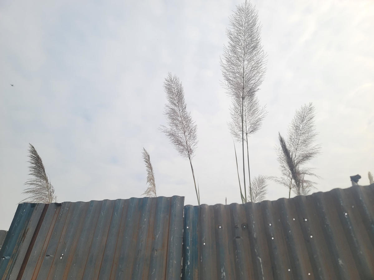 20241225_103453.jpg