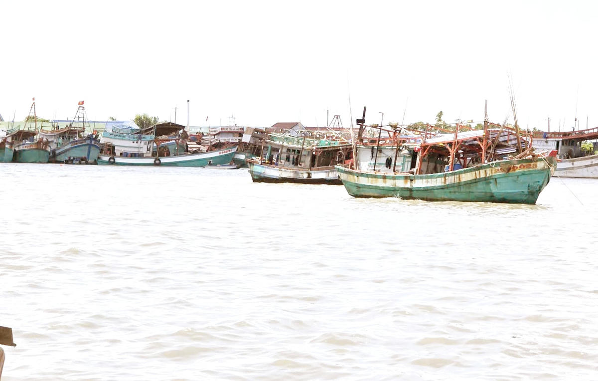 ảnh 2 Thiếu lao động, nhiều tàu cá ngư dân neo đậu trên Sông Đốc, xã Sông Đốc, tỉnh Cà Mau
