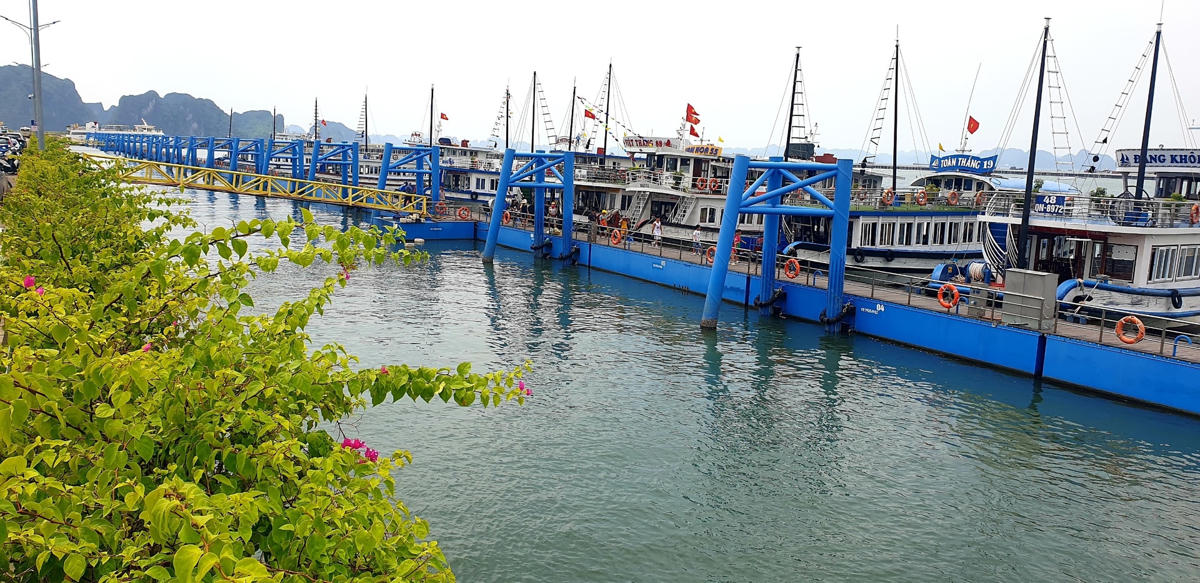 Các tàu du lịch neo đậu tại Cảng tàu khách quốc tế Hạ Long (ảnh chụp lúc 11h ngày 17/7).