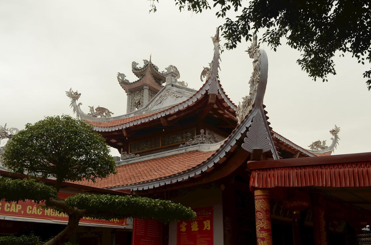 dsc_7755.jpg