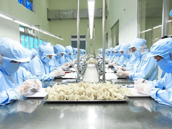 Dự kiến năm 2023 Việt Nam sẽ xuất khẩu lô tổ yến đầu tiên sang Trung Quốc.
