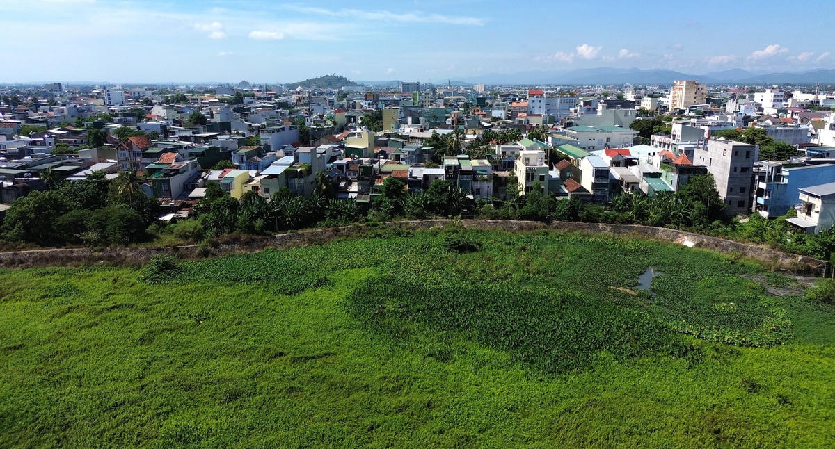 Một góc hồ điều hòa Nghĩa Chánh bèo phủ kín.
