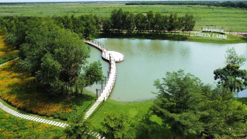 Vinamilk tập trung đầu tư môi trường sống trong lành với chế độ chăm sóc đặc biệt cho đàn bò sữa.
