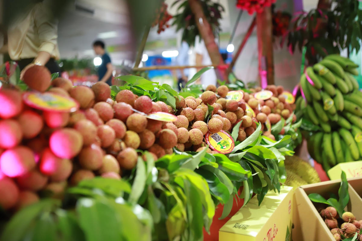 Vải thiều đến với thị trường quốc tế qua cả kênh truyền thống và thương mại điện tử.