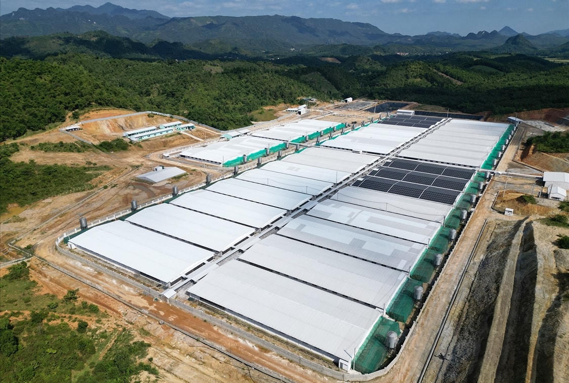 Trại lợn của Công ty Agri-Vina (đóng tại huyện Lang Chánh) bị đình chỉ vào ngày 30/7/2024 vì gây nhiễm môi trường.