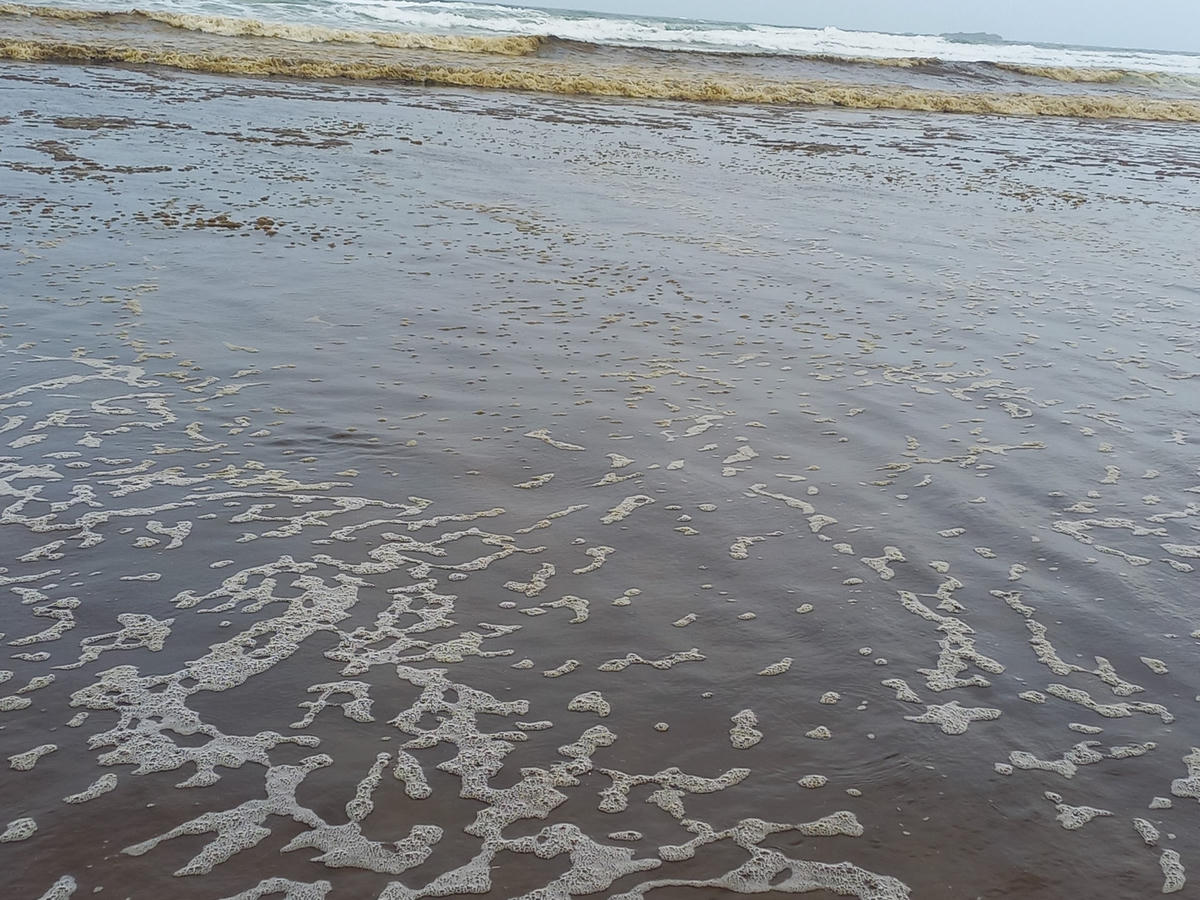 Nước biển đục ở xóm Châu Tân.