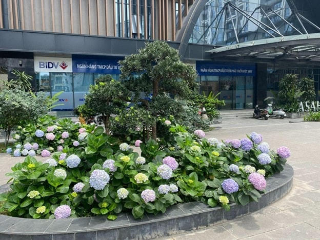 Vietracimex xây dựng Hinode City mang đậm hơi thở thiên nhiên xanh mát.