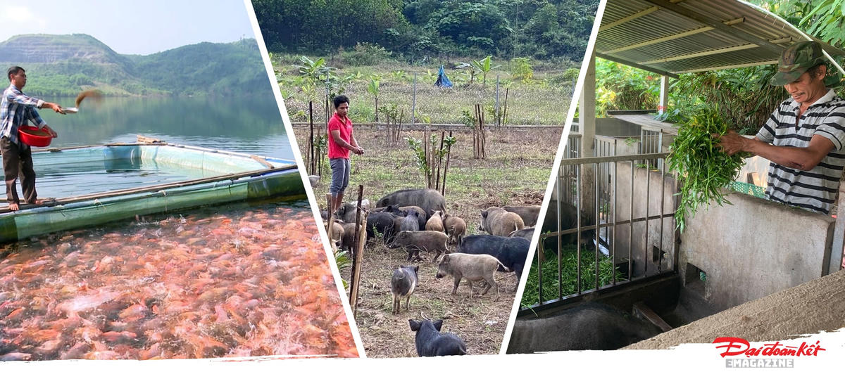 [Emagazine] Quảng Nam: Thực hiện Chương trình 1719 để hỗ trợ đồng bào miền núi thoát nghèo