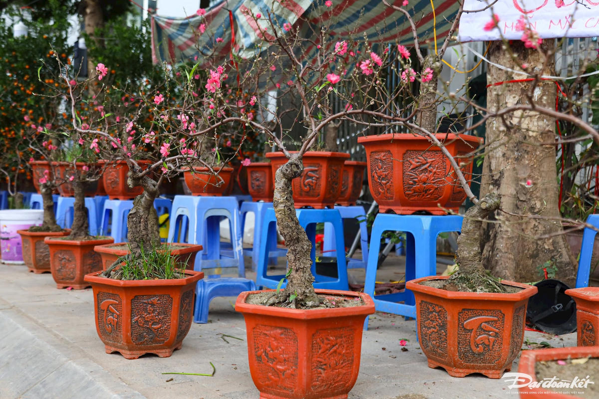 quat_dao-le-khanh34.jpg