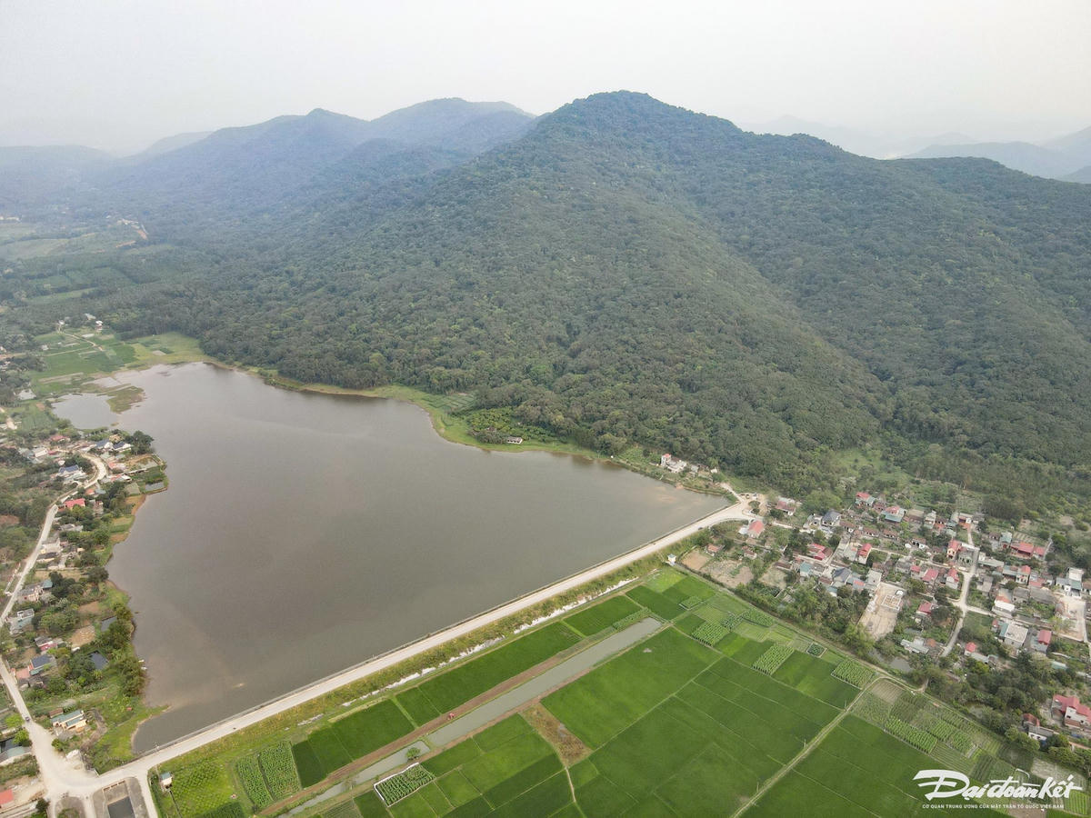 Với diện tích rộng hơn 500 ha, rừng sến Tam Quy được xem là khu bảo tồn loài sến mật duy nhất ở Việt Nam và lớn nhất Đông Nam Á. Ảnh: Đình Minh
