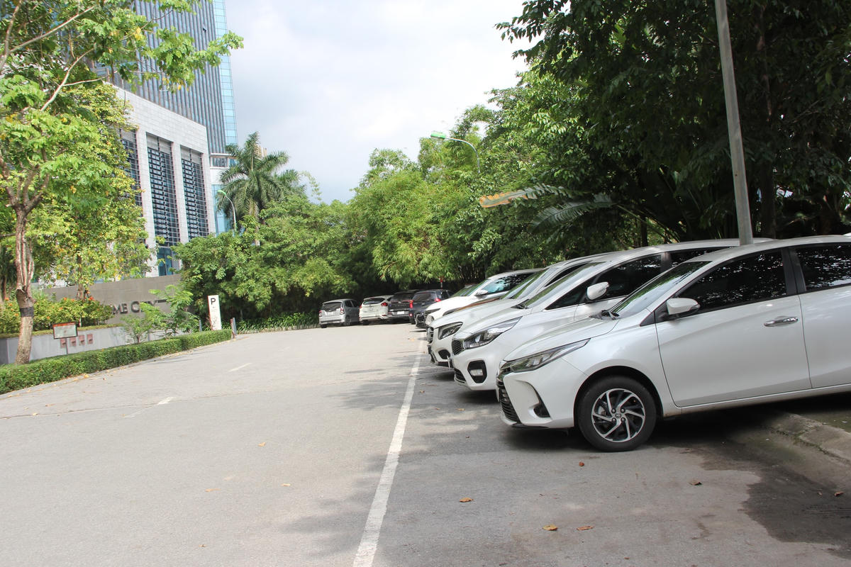 Dự án Công viên nghìn tỷ của Ocean Group - VNT trở thành nơi trồng rau, chăn vịt