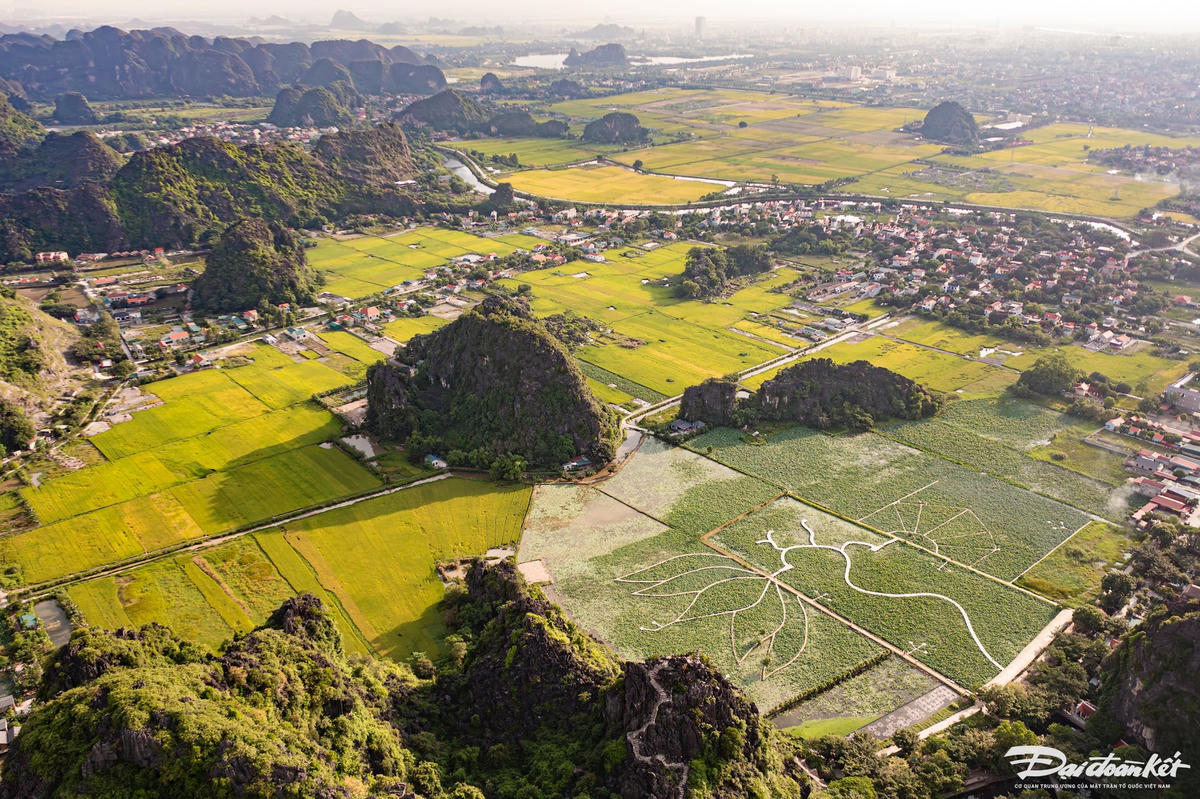 dji_0972-enhanced-nr.jpg