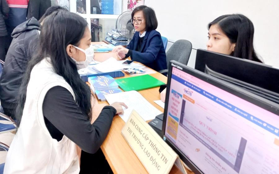 Tư vấn và giới thiệu việc làm cho người lao động.
