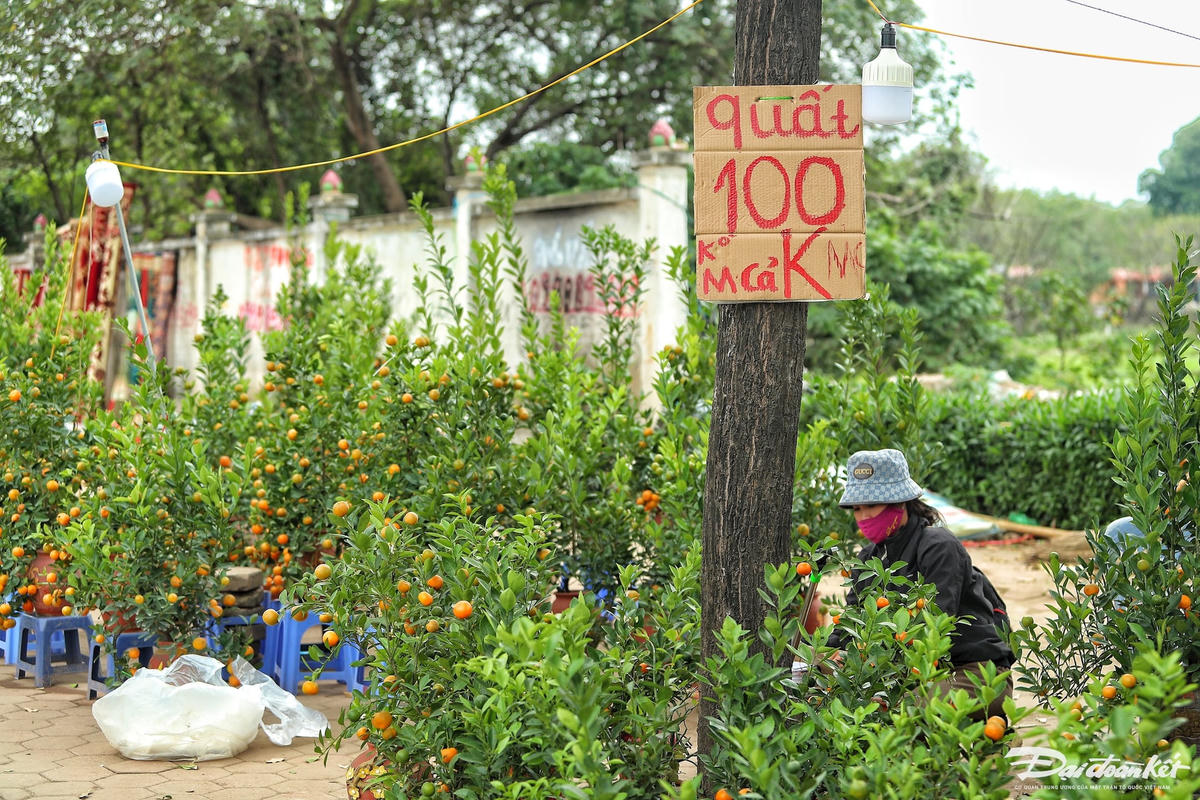 W_dao_quat_xa_lo-le-khanh18.jpg