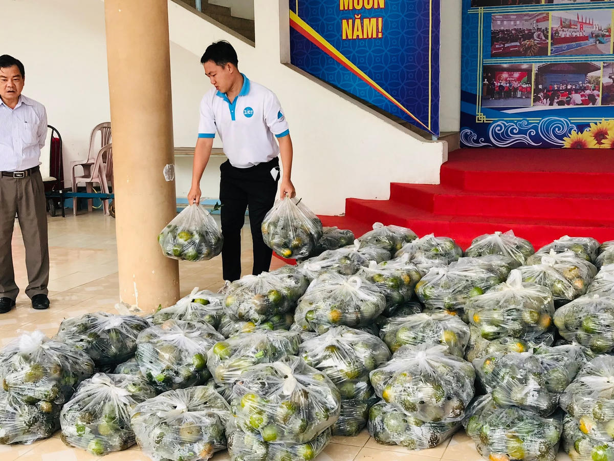 Bạn trẻ Cần Thơ tham gia chương trình "giải cứu" cam giúp nông dân Vĩnh Long. Ảnh: T.Duy.