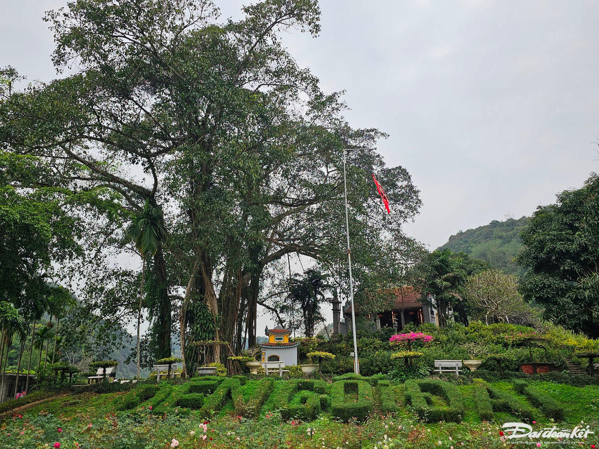 Theo tài liệu còn lưu trữ tại UBND xã Ninh Hải, sau khi cùng vua Đinh Tiên hoàng dẹp loạn 12 sứ quân, Việt Thắng đại vương, một vị tướng tài triều Đinh được giao trấn ải vùng đất phía Tây cố đô Hoa Lư. Sau khi ông mất, nhà vua đã cho xây ngôi đền ngay dưới gốc đa và đặt tên là đền Gối Đại – nghĩa là sự nối tiếp của các thời đại với mong muốn đời sau luôn nhớ đến công ơn của người đi trước. Ảnh: Đình Minh