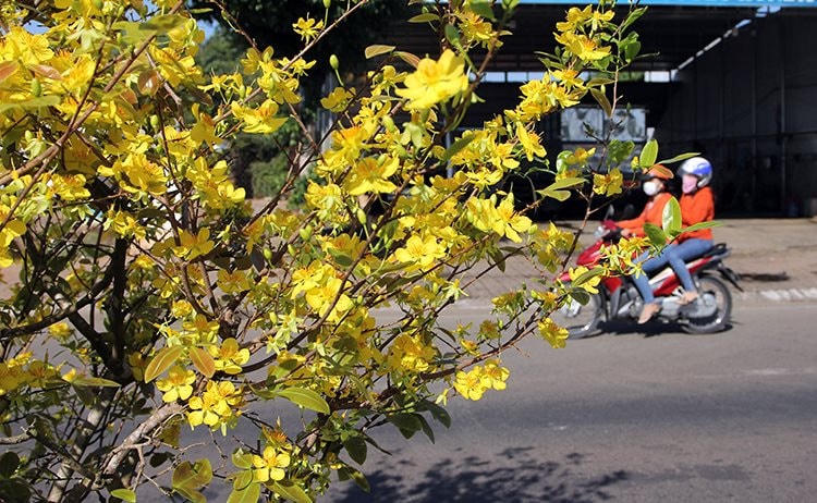 anh2-baiduoi.jpg
