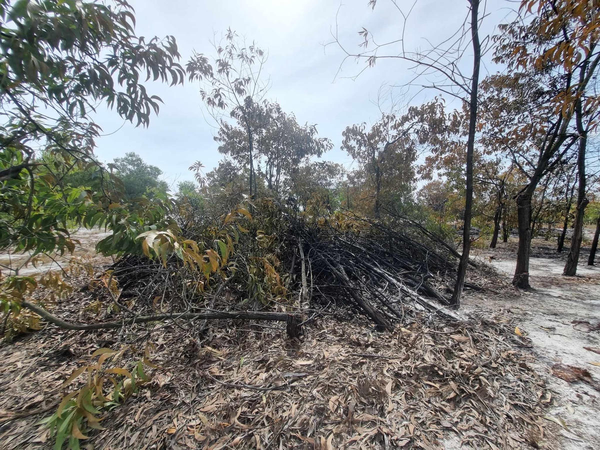 Đống thực bì dùng diễn tập cháy còn sót lại