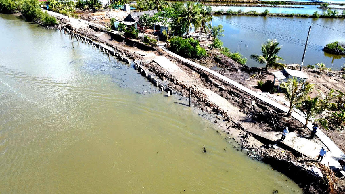 ẢNH 3 Sạt lở đất ven sông ở Cà Mau làm hư hỏng nhiều công trình do Nhà nước đầu tư, việc khắc phục hậu quả khá tốn kém.