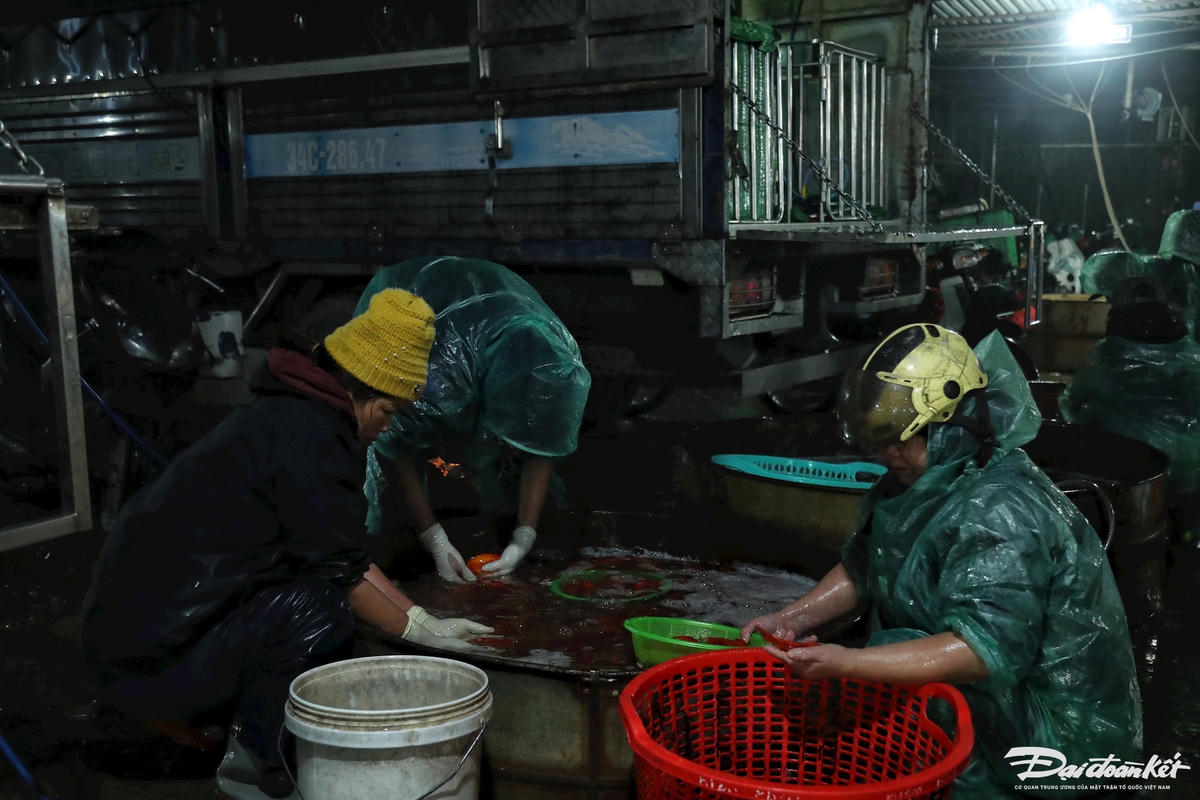 W_ca_chep_ong_cong_ong_tao-le-khanh8.jpg