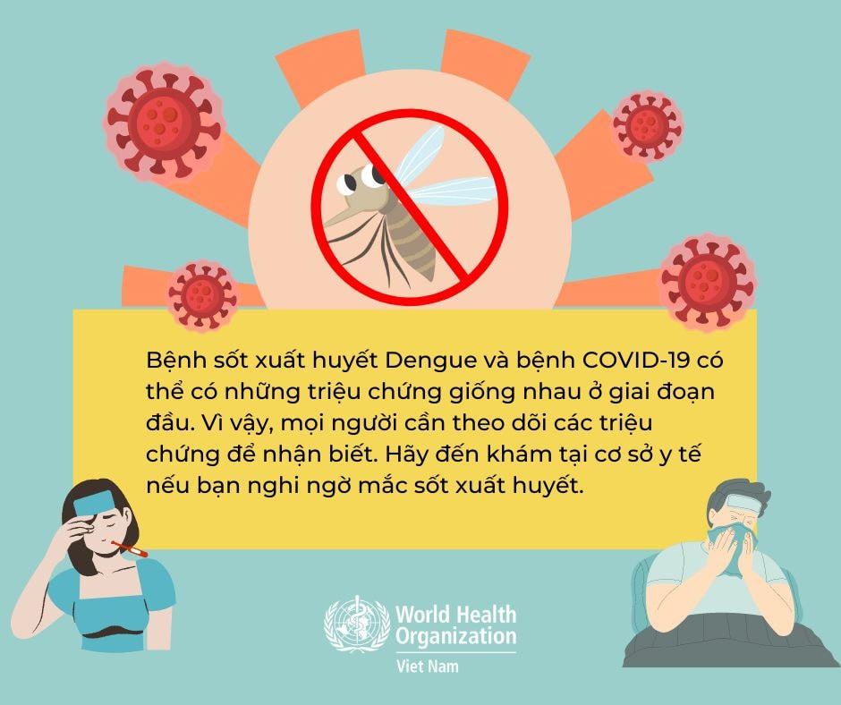 Hướng dẫn cách phân biệt sốt xuất huyết và Covid-19. Nguồn: WHO.
